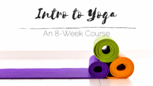 Zen Wellness Intro to Yoga